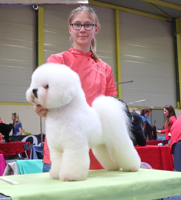 bei der Grooming Competition